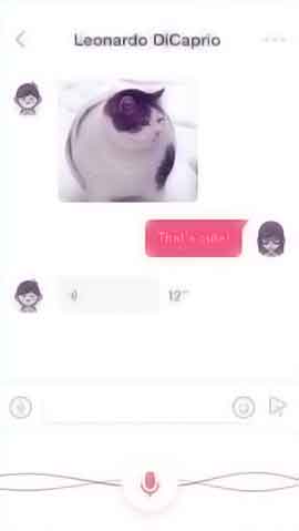 怎么简单攻击一个网站软件程序维护界面